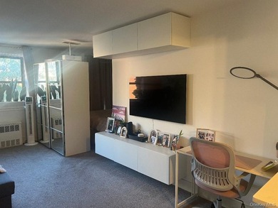 Beautiful Large, L Shaped Studio co-op, with sleeping alcove - photo 9