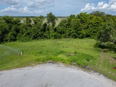 (private lake, pond, creek) Lot For Sale in Grand Island Florida