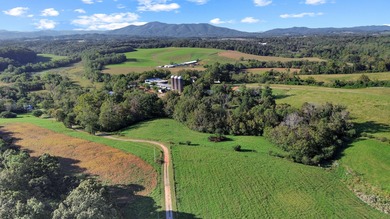 (private lake, pond, creek) Home For Sale in Rocky Mount Virginia