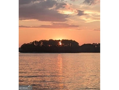 Beautiful Lake Home w/Single Slip Covered Dock with Boat Lift & - photo 15