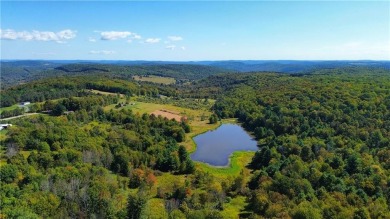(private lake, pond, creek) Home For Sale in Gillett Pennsylvania