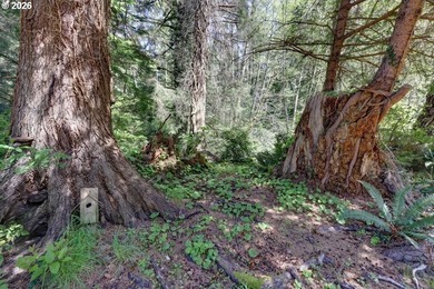 Secluded yet close to the Beach! Bright, light and airy two - photo 38
