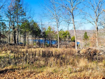 THREE WOODED LOTS  with city water available. Two bedroom - Lake Lot For Sale in Mountain Home, Arkansas