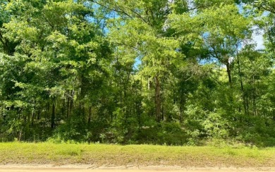 (private lake, pond, creek) Lot For Sale in Jennings Florida