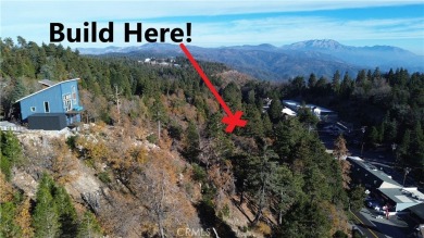 Lake Arrowhead Lot For Sale in Rimforest California