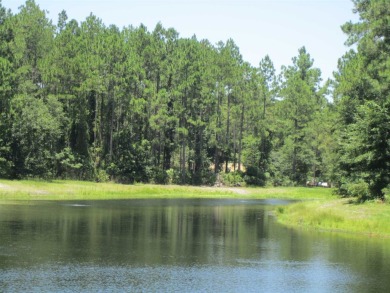 (private lake, pond, creek) Lot For Sale in Saint Marys Georgia
