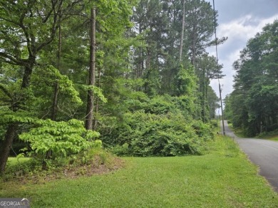 Lake Lot For Sale in Conyers, Georgia