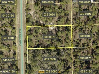 Lehigh Acres Area Lot For Sale in Alva Florida