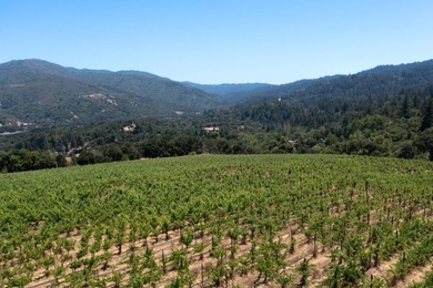 This property presents an unparalleled offering within the 20+ - photo 3