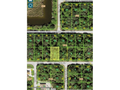 Great residential lot located in Port Charlotte ready to build - photo 4