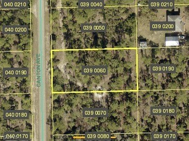 Lehigh Acres Area Lot For Sale in Alva Florida
