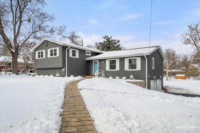 Bruce Lake Home For Sale in Downers Grove Illinois