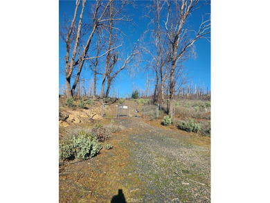 Oroville Lake Acreage For Sale in Berry Creek California