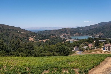This property is one of the 4 lots available (544-58-012 with 11 - photo 3