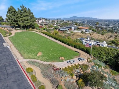 Tucked into the gated enclave of Del Cerro Heights, this fully - photo 27