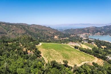 This property is one of the 4 lots available (544-58-014 with 3 - photo 4