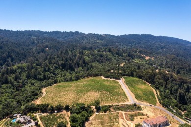 This property is one of the 4 lots available (544-58-014 with 3 - photo 7