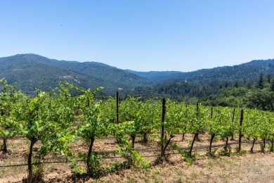 This property is one of the 4 lots available (544-58-014 with 3 - photo 9