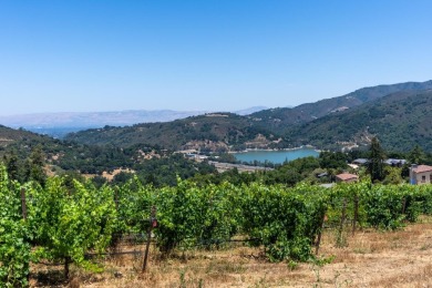 This property is one of the 4 lots available (544-58-014 with 3 - photo 10