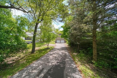 Lake Home For Sale in Cement City, Michigan