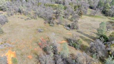 (private lake, pond, coastal) Acreage For Sale in Sonora California