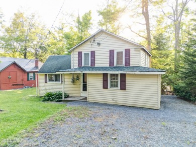 Lake Home For Sale in Summit, New York