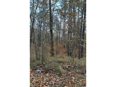 2 lots located in a beautiful, peaceful, and scenic area to - Lake Lot For Sale in Jasper, Alabama