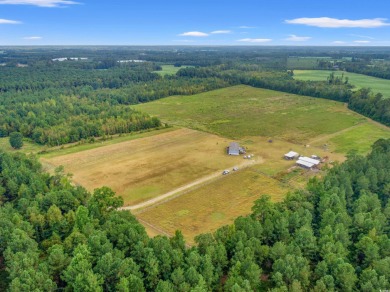 (private lake, pond, coastal) Acreage Sale Pending in Lake View South Carolina