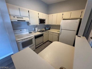 Located off Island Park Road in South Fort Myers, this 2-bedroom - photo 9