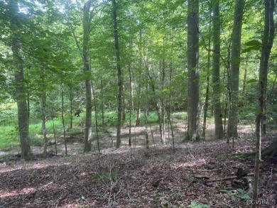 Kent Lake Lot For Sale in New Kent Virginia