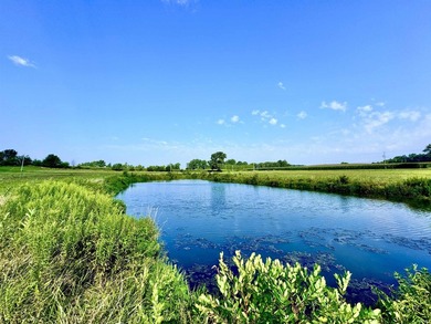 Listed for sale is a blend of recreation, wildlife, and - photo 3