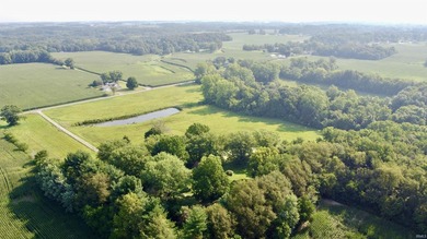 Listed for sale is a blend of recreation, wildlife, and - photo 5