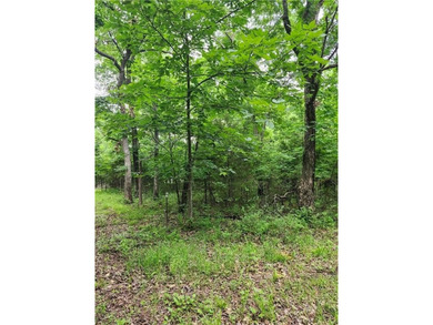 It doesn't get any better than this!! Three wooded, secluded - photo 1
