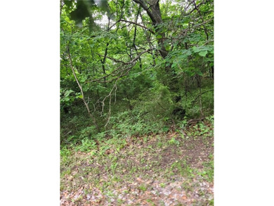 It doesn't get any better than this!! Three wooded, secluded - photo 2