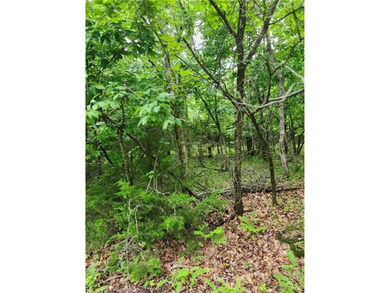 It doesn't get any better than this!! Three wooded, secluded - photo 3