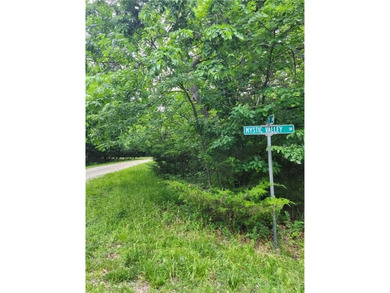 It doesn't get any better than this!! Three wooded, secluded - photo 4