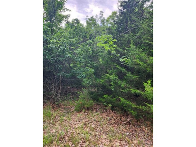 It doesn't get any better than this!! Three wooded, secluded - photo 5