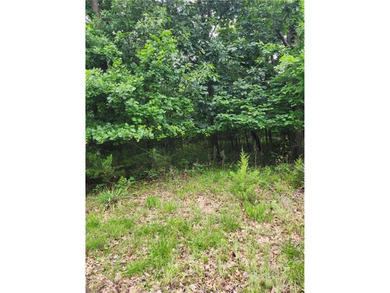 It doesn't get any better than this!! Three wooded, secluded - photo 6
