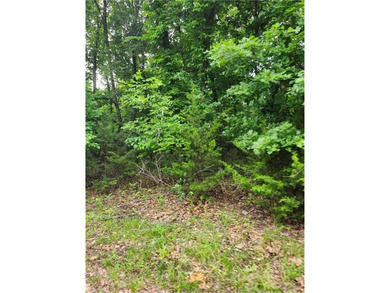 It doesn't get any better than this!! Three wooded, secluded - photo 7