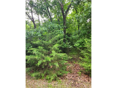 It doesn't get any better than this!! Three wooded, secluded - photo 8