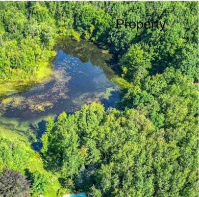 Lake Acreage For Sale in Fennville, Michigan