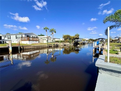 Located in the desirable Pelican Harbor 55+ community, this - photo 3