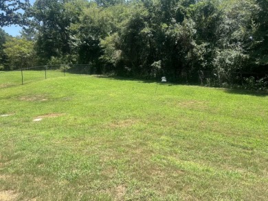 3/2/2 Brick Home in Lake Palestine Community - photo 37