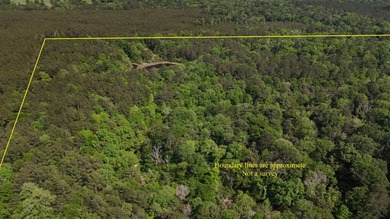 Located near Neely, Mississippi, this diverse hunting property - photo 11