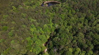 Located near Neely, Mississippi, this diverse hunting property - photo 12