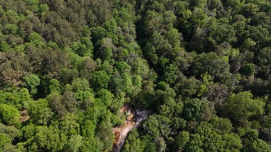 Located near Neely, Mississippi, this diverse hunting property - photo 13