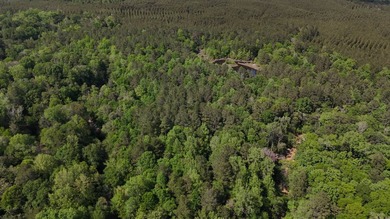 Located near Neely, Mississippi, this diverse hunting property - photo 14