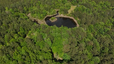 Located near Neely, Mississippi, this diverse hunting property - photo 16