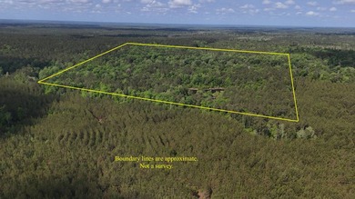 Located near Neely, Mississippi, this diverse hunting property - photo 18