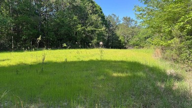 Located near Neely, Mississippi, this diverse hunting property - photo 19